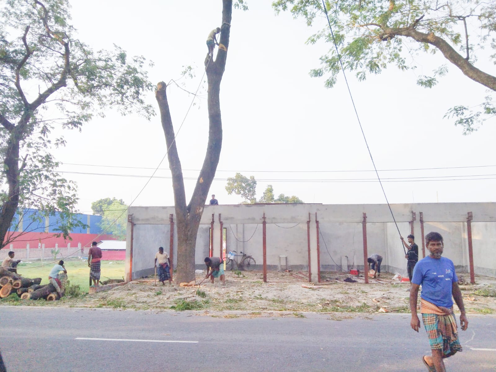 ঝিনাইদহে অবৈধভাবে সড়কের গাছ কেটে চলছে স্থাপনা নির্মাণ